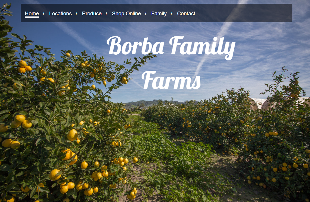 Borba Family Farms Pic